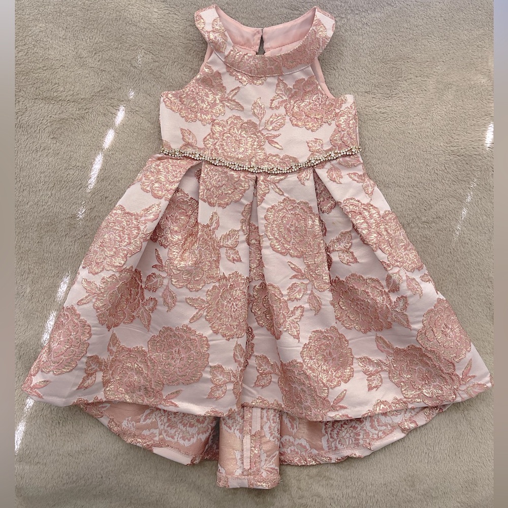 Formal Rare Edition toddler dress